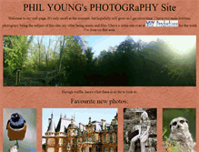 Tablet Screenshot of phil-young.com